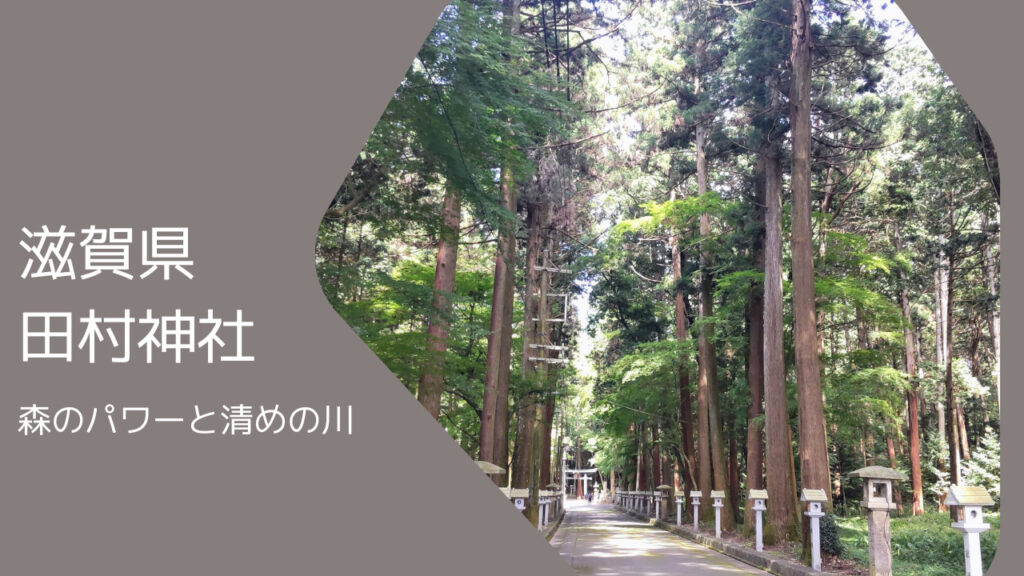 田村神社・参道・森林浴